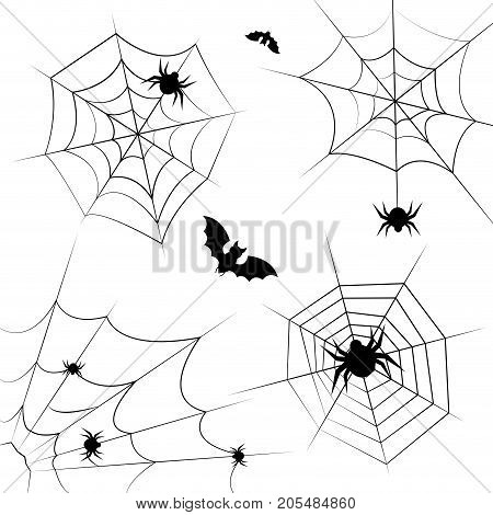 Halloween cobweb vector frame border and dividers isolated on white with spider web for spiderweb scary design