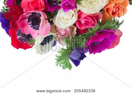 Fresh colorful anemones and roses flowers border close up isolated on white background