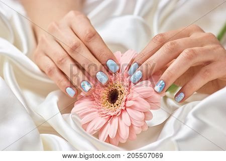 Female manicured hands holding gerbera. Beautiful woman hands with winter design manicure holding peach color gerbera flower. Feminine delicacy and ternderness.