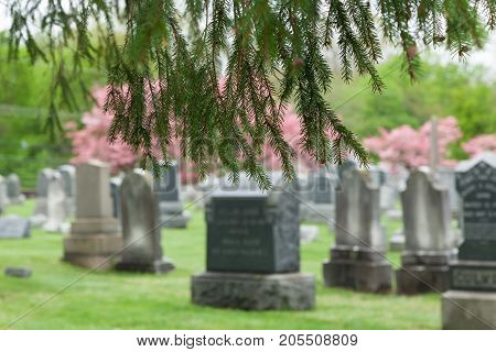 Kingston Cemetery