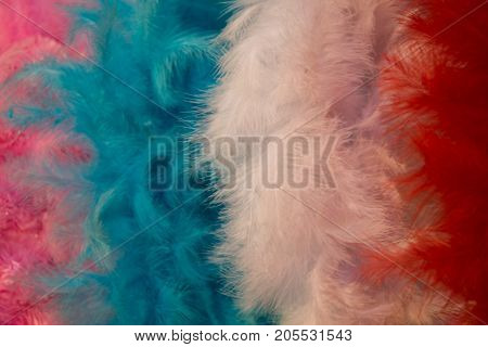 Beautiful Bird Feathers For Decorative Aims