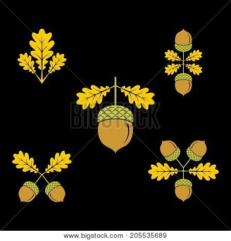 Acorn icon or logo in modern line style. Vector illustration on a black background