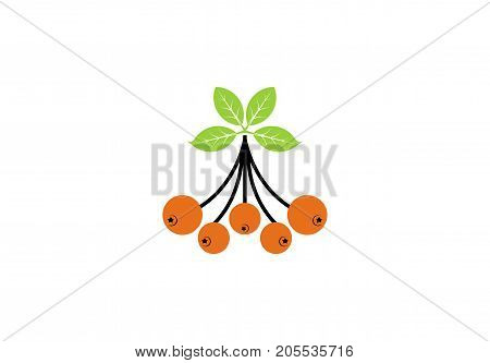 Rowan icon or logo in modern line style. Vector illustration on a white background