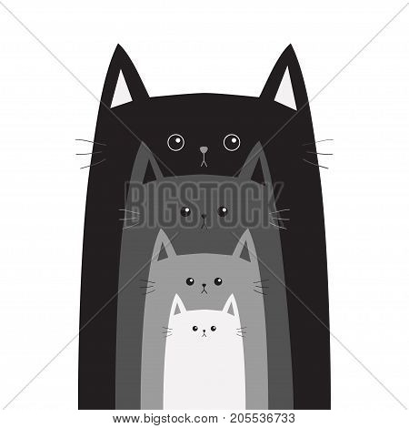 Black gray cat head. Cats in a row. Different size big small middle. Cute cartoon funny sad character family set. Pet baby collection Card Flat design White background Isolated Vector illustration