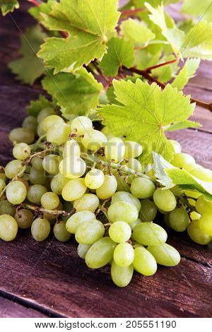 Grapes on wooden table and grape leaves . Healthy fresh fruit wine grapes.