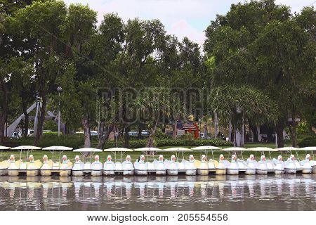 The lake in Chatuchak Park a public park in Chatuchak district Bangkok Thailand.