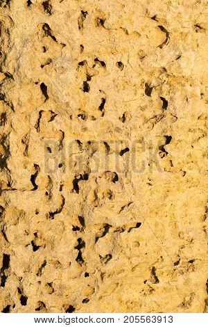 Yellow stone covered with holes texture background