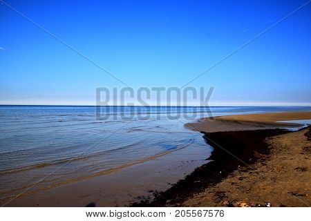 Very calm Baltic Sea. The beach is full of sea grass.