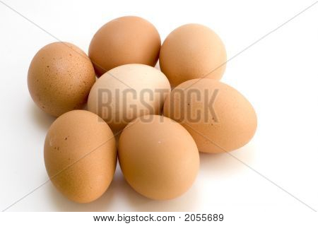 Eggs