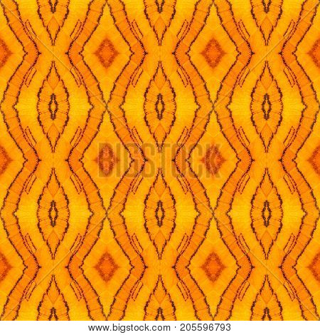 Seamless Pattern Made From Colorful Butterfly Wing For Background Texture