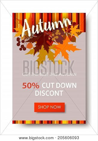 lAutumn sale text banners for September shopping promo or 50 autumnal shop discount. Design decoration with maple, oak leaves, rowan berries in bright style.