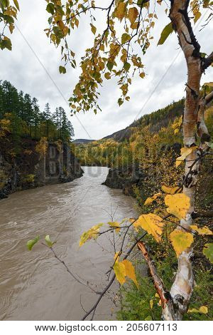 Kamchatka autumn landscape: picturesque mountain river flowing among roky mountain through the colorful forest. Eurasia Russian Far East Kamchatka Peninsula.
