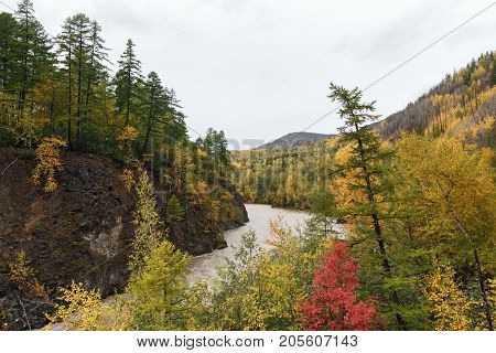 Beautiful Kamchatka landscape: picturesque mountain river flowing among roky mountain through the colorful forest in autumn season. Eurasia Russian Far East Kamchatka Peninsula.