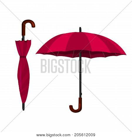 Umbrella. Vector Illustration. Open And Closed Umbrellas.