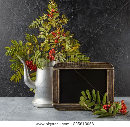 Rowan branches in metal old coffee pot and black chalkboard on dark background