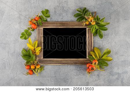Black chalkboard and dogrose berries Autumn decorations. Top view space for text on the board.