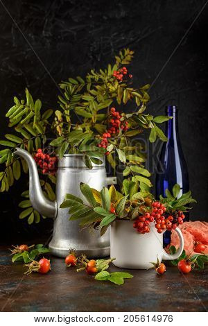Rowan branches in metal old coffee pot and in cup and dogrose berries on dark background