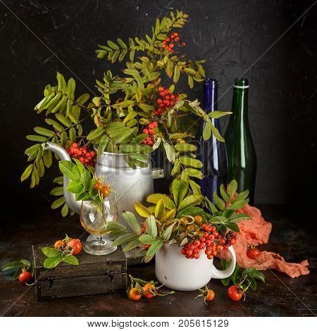 Rowan branches in metal old coffee pot and in cup and dogrose berries on dark background