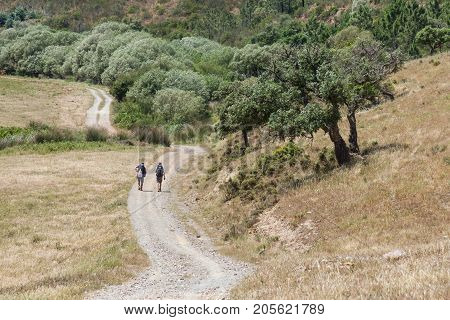 Trail In The Farm With Sobreiro Trees And Vegetation