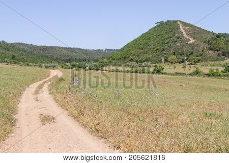 Trail To Mountain With Sobreiro Trees And Vegetation