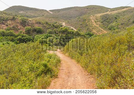 Trail In A Mountain With Forest And Vegetation