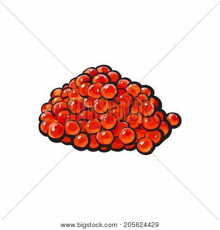 vector sketch cartoon red salmon roe, caviar. Isolated illustration on a white background. Seafood delicacy, restaurant menu decoration design object concept