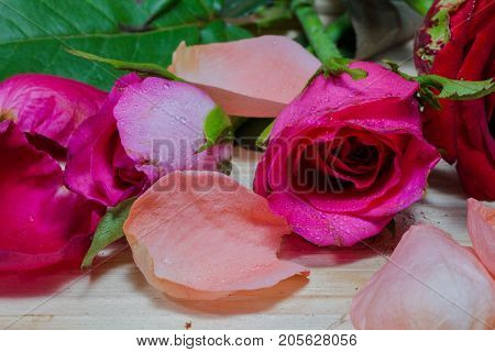 leaf of rosepink roses and red rose flowers in the pinewood table