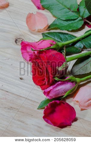 leaf of rosepink roses and red rose flowers in the pinewood table