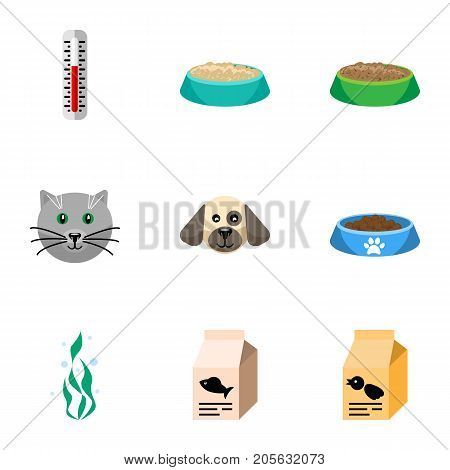 Flat Icon Animal Set Of Cat  Eating, Nutrition Box, Fish Nutrient And Other Vector Objects