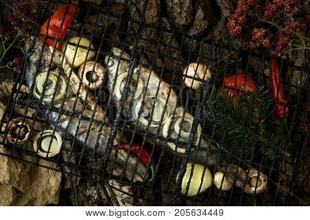 Dish On A Tree Bark