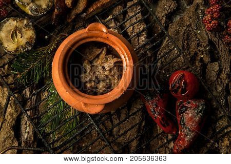Dish On A Tree Bark