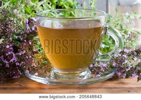 A Cup Of Breckland Thyme Tea On A Wooden Table