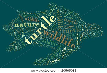 Wordcloud Kaplumbağa