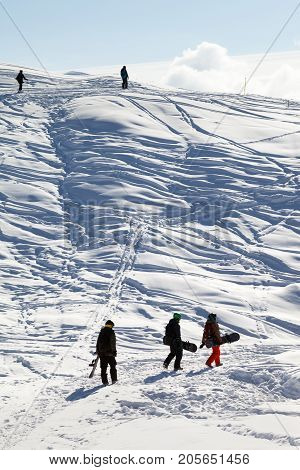 Snowboarders On Footpath In Snow At Sun Morning