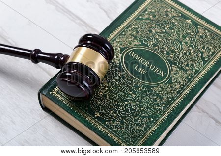 Immigration Law Book With Judges Gavel