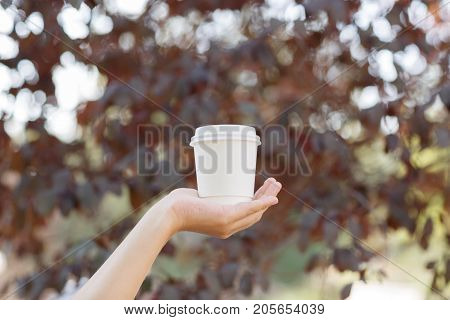 Human holding in the hand a cup of coffee on the nature. Close-up of drink.