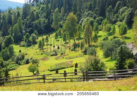 Mountain Landscape In Carpathian