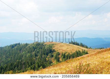 Mountain Landscape In Carpathian