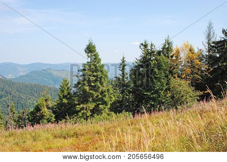 Mountain Landscape In Carpathian
