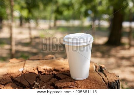 White glass with tea stands on a stump on a sunny autumn background. Close-up.
