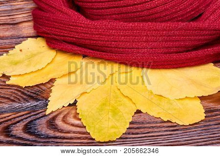 Red warm scarf lies on a bench with autumn yellow leaves. Copy space.