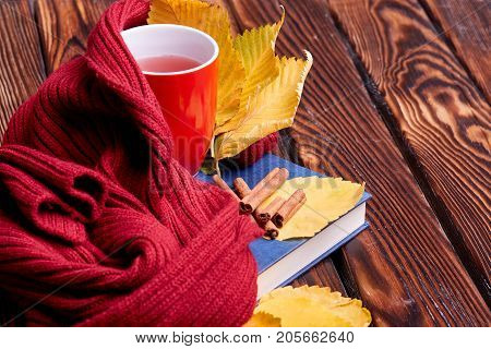 Cup of coffee or tea on the autumn nature. Close-up of autumn mood. Copy space. Yellow leaves on the dark wooden bench.