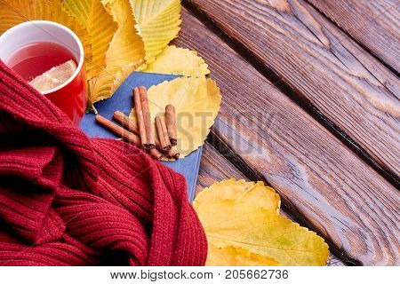 Cup of coffee or tea on the autumn nature. Close-up of autumn mood. Copy space. Yellow leaves on the dark wooden bench.