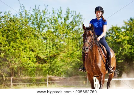 Beautiful female equestrian sits astride a horse outdoors at racetrack during show jumping competitions