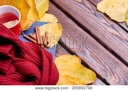 Cup of coffee or tea on the autumn nature. Close-up of autumn mood. Copy space. Yellow leaves on the dark wooden bench.