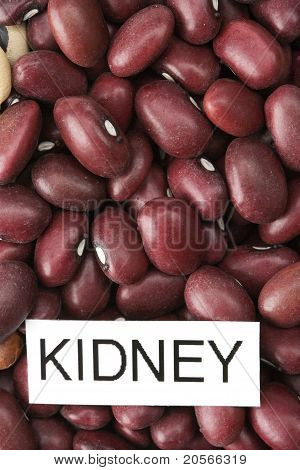 Gedroogde rode kidney bonen met label close-up