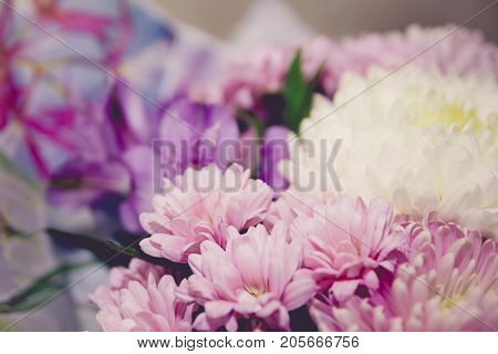 Purple And White Chrysanthemums And Asteria Bouquet Toned Image