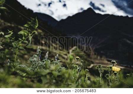 View from the top of the mountain of Pisaq