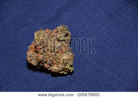 dosido is a hybrid medical cannabis strain