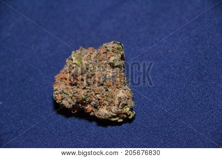 dosido is a hybrid medical cannabis strain